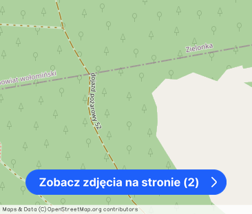 Wygodny 9-pokojowy dom dla firmy, własny parking – zdjęcie 1