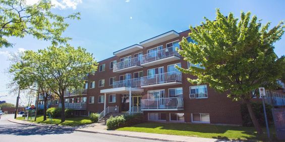 1 CH - 1 SDB - Laval - $1,250 /mo - Photo 3