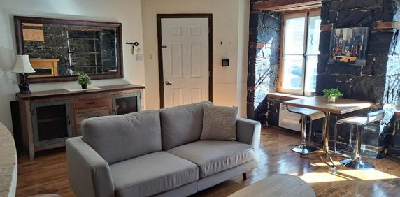 Bel appartement dans le Vieux-Québec! Entre le Château Frontenac et Place Youville! 100% meublé, laveuse, sécheuse! A qui la chance! - Photo 2