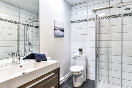 Condo for rent, Montréal (Le Plateau-Mont-Royal) - Photo 3