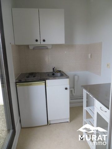 Location Appartement 1 pièce 29m² CHAMALIERES 63400 - Photo 3