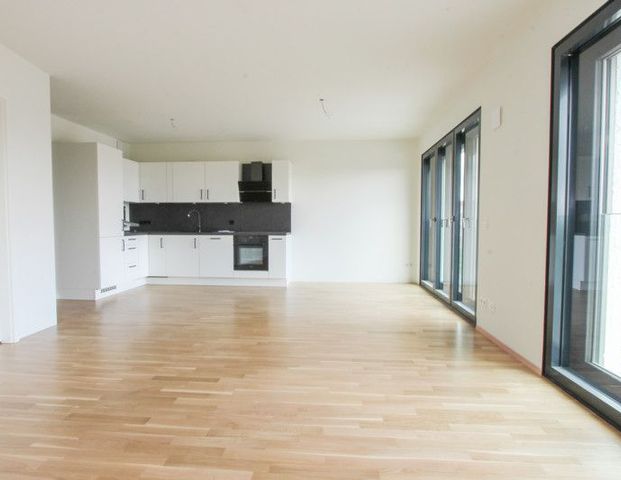 Ab März 2026: Große 2-Zimmer-Wohnung mit Einbauküche - Foto 1