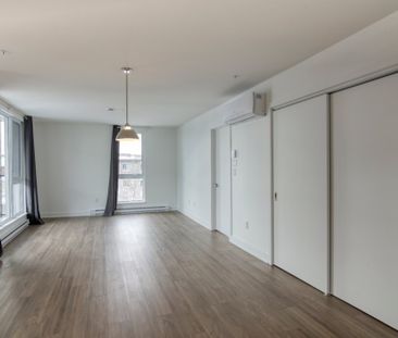 9675 Av. Papineau, app.9, H2B 3C8, H2B 3C8, Montréal - Photo 6
