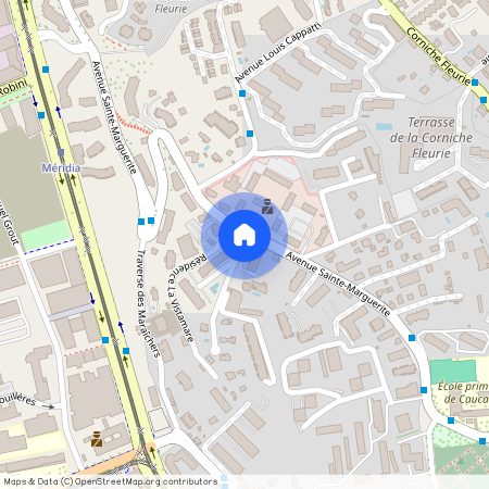 173 Avenue Sainte-Marguerite, 06200, Nice