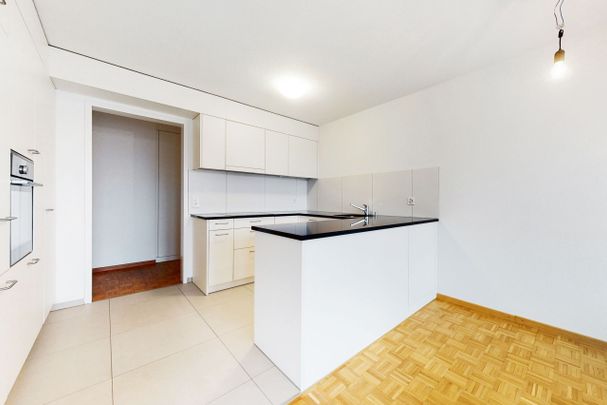 Frisch saniert: Grosszügige Wohnung bei der Limmat! - Foto 1