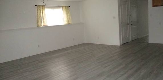 Incredibly Spacious, Beautiful And Bright Includes Utilities! - Photo 2