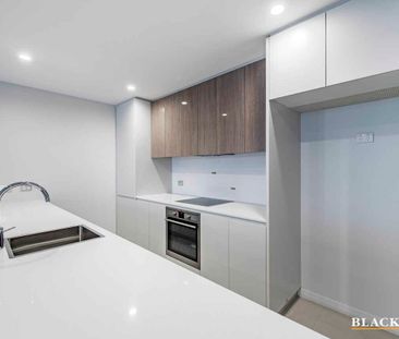 Immaculate Two Bedroom Apartment in the Governor Place Building - Photo 6