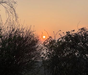 Wohnung im Bereich Katernberg / In den Birken gesucht - Foto 1