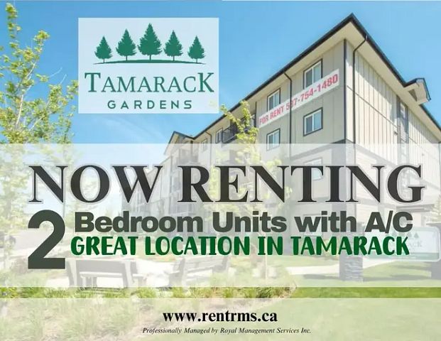 Tamarack Gardens | 707 / 711 Tamarack Way, Edmonton - Photo 1