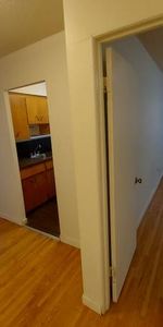 pet friendly one bedroom - Photo 4