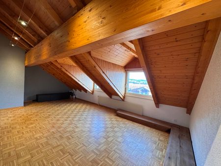 Large 2-room attic apartment - Foto 5