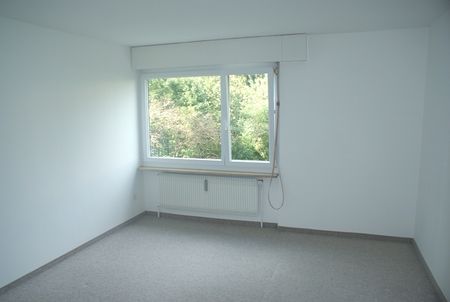 Grosszügige 3-Zimmerwohnung in ruhigem Quartier - Photo 3