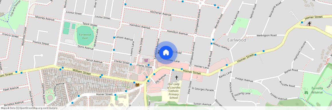 20 Coney Road, 2206, Earlwood