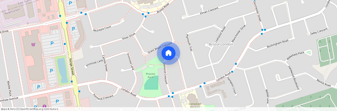 252 Osmond Crescent Unit# Walk Out Basem…, Newmarket