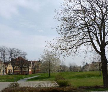 Gera, Sonnige 2-Raum-Wohnung im Reuß-Park! (ME C1.12) - Foto 6