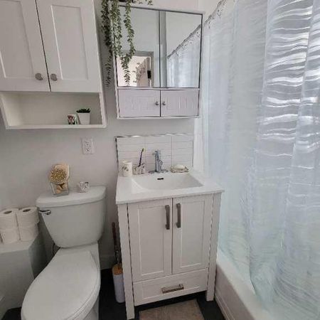 Superbe 3 1/2 double-chambre rénové et lumineux au cœur de Rosemont-La-Petite-Patrie - Photo 4