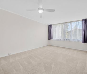 14 Gatton Street, Farrer - Photo 4