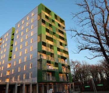 Appartement 2 pièces - - Photo 4