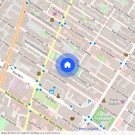 1759 Rue Saint-Christophe, Ville-Marie, Ville-Marie, Ile de Montréal, H2L 3Z1