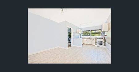 Charming 1-Bedroom Unit - Photo 4