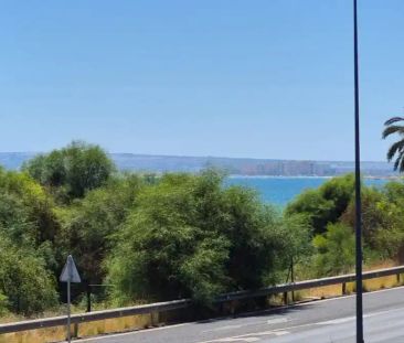 Alicante / Alacant - Photo 5