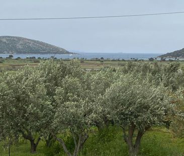 Μονοκατοικία για ενοικίαση Άγιος Νικόλαος (Ανάβυσσος) - Photo 5