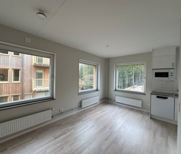 Klättergatan 9 – 2 rok (1601) - Photo 6