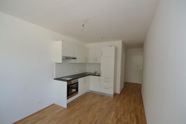 Zentrum/Annenviertel – 41 m² – 2 Zimmer – tolle Singlewohnung – 6 m² Loggia – ab sofort - Foto 1