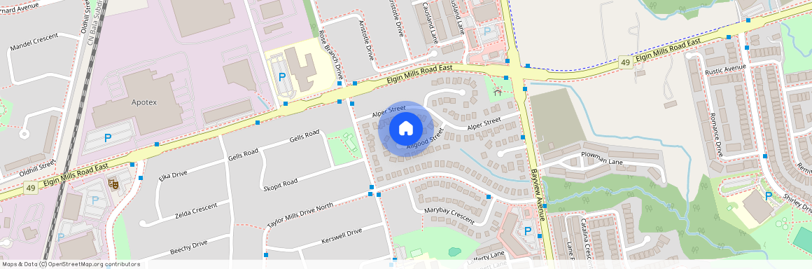 389 Allgood Street Unit# Main Fl, Richmond Hill