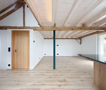 2½ pièces - Duplex de charme - Photo 3
