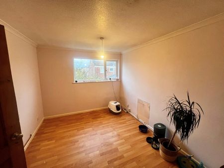 Lovell Gardens, Thetford, Watton - Photo 2