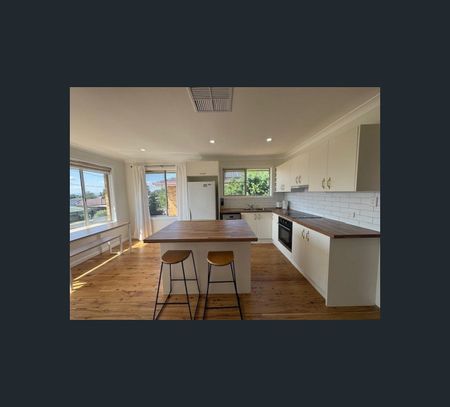 8 McRae Street, Tamworth, NSW 2340 - Photo 4