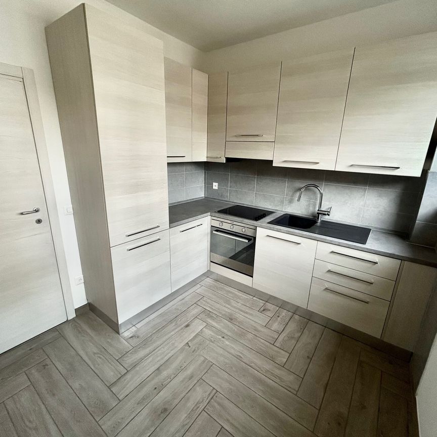 Affittasi moderno 2.5 locali ristrutturato in zona tranquilla Chiasso - Foto 1