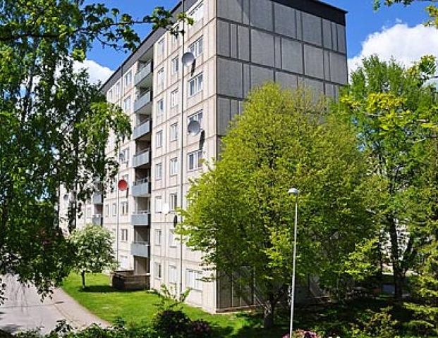 Baron Rogers Gata 1 - Foto 1