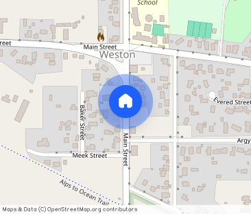 Executive Home - Photo 1