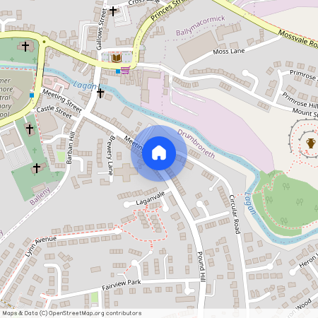 37 Meeting Street, BT25, Dromore, Dromore,