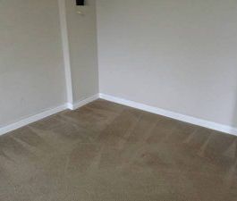 $950 / 1br – 920ft2 – Spacious 1 Br Bsmt Suite in Port Moody (Port ... - Photo 2