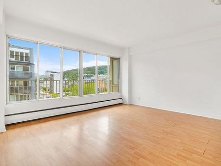 3465 Hutchison Street, Montréal, QC - Photo 4