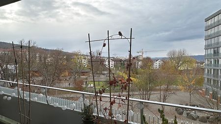 2½ Zimmer-Wohnung in Zürich - Kreis 9 Albisrieden, möbliert, auf Zeit - Foto 4