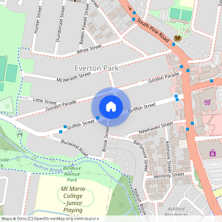 59 Griffith St, Qld 4053, Everton Park