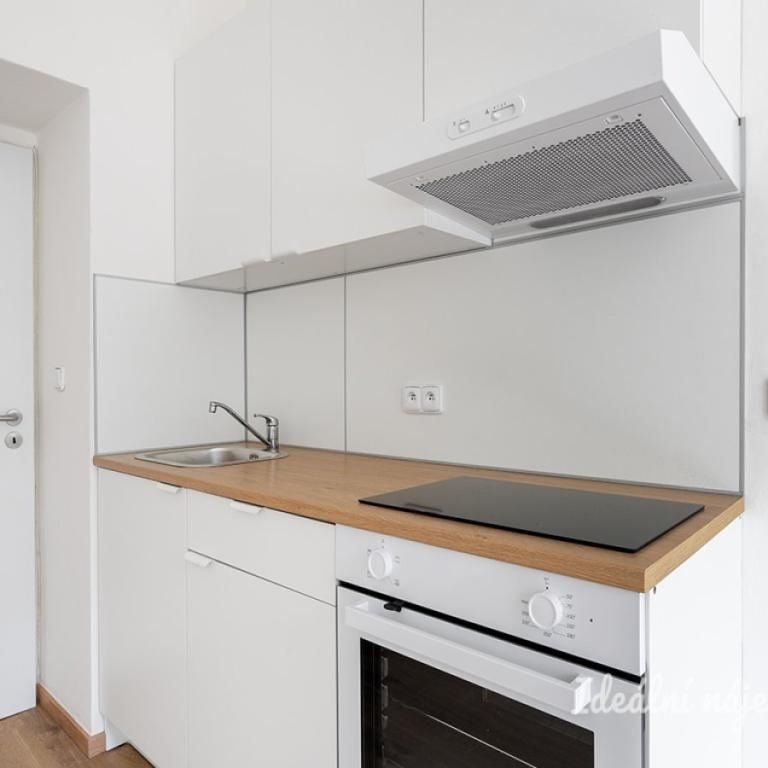 Pronájem bytu 1+kk 24 m2 - Fotografie 1