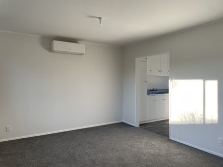 Newly Renovated in Wallaceville - Photo 2