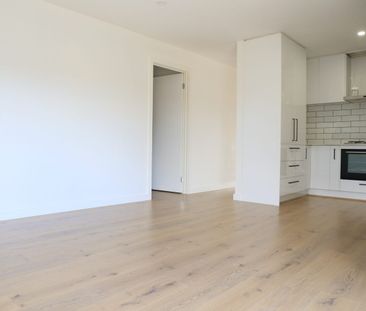 Fully Renovated Home in Prime Location - Photo 6