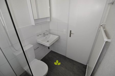 3.5 Zimmer, 70 m², 1. Stock - Photo 3