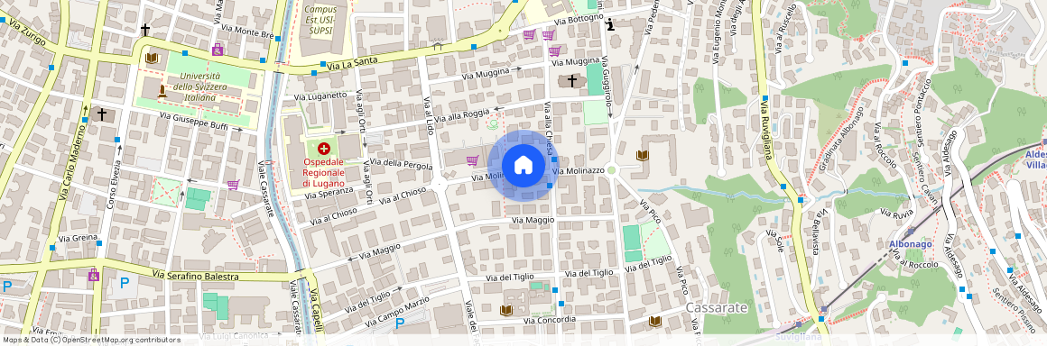 6962, Viganello, Via Molinazzo