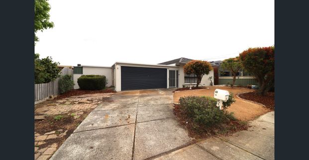 Renovated.. and Ready to Call Home! - Photo 1