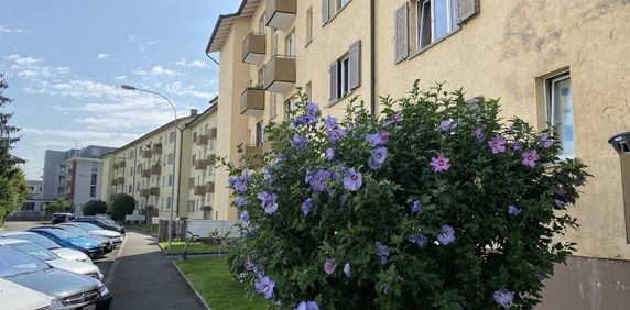 1.0 Zimmerwohnung in Schlieren (befristet) - Foto 2