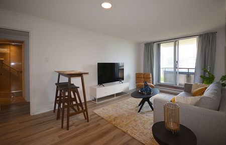 435 Albert St., Centretown, Ottawa, ON - Photo 4