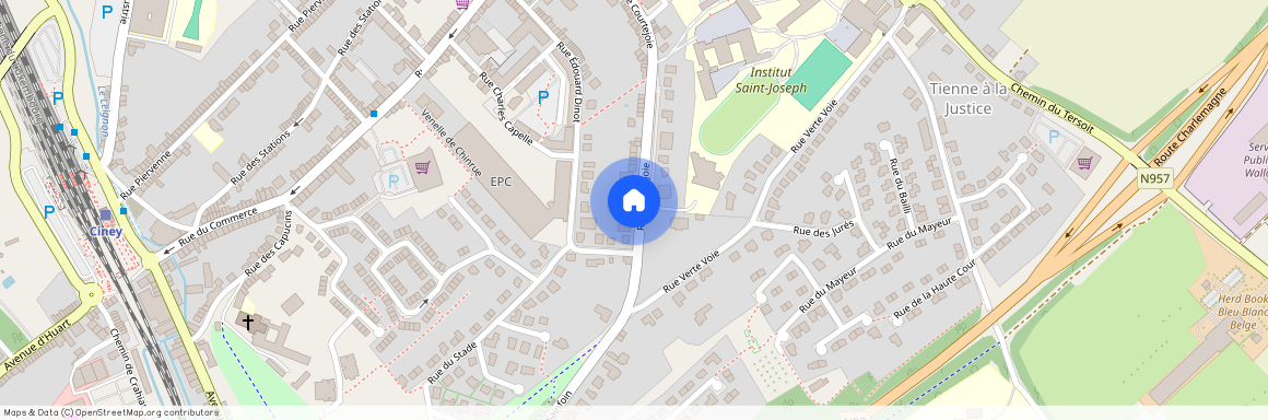 Rue Courtejoie, 110, 5590, Ciney