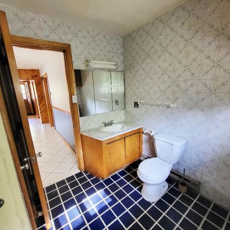 Maison a louer aux bruits des chutes. - Photo 3